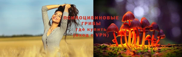 тгк Балахна