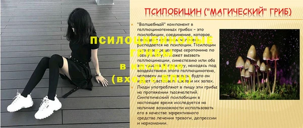 тгк Балахна