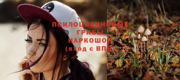 хмурый Михайлов