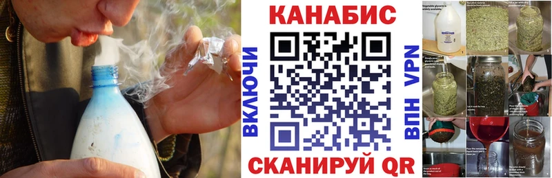 где найти наркотики  Петровск  Шишки марихуана план 